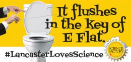 fun fact- toilets flush in the key of E flat