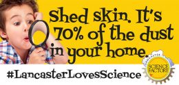 fun fact- 70% of the dust in your home is shed skin
