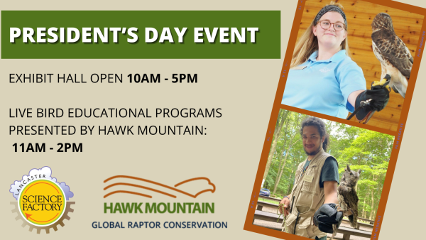 President's Day Special Event - Hawk Mountain Sanctuary with LIVE Birds ...